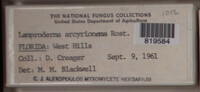 Image Associated With the Occurence